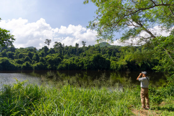 อุทยานแห่งชาติแก่งกระจาน