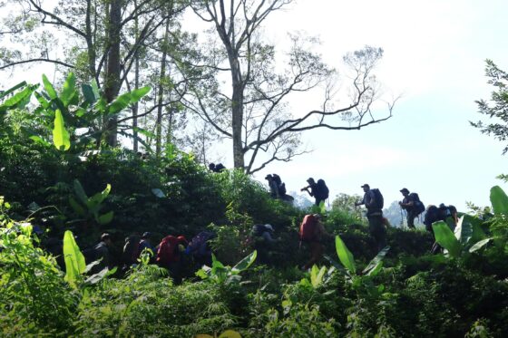 Fjällräven Thailand : Betong Hike 2024 เดินป่า เบตง ยะลา หาทริปเดินป่า Fjallraven Thailand Trail ทริปเดินป่า 2567 เดินป่า มือใหม่ เดินป่า ที่ไหน โหดสุด เดินป่าค้างคืน เดินป่าเดือนเมษายน เดินป่าใต้