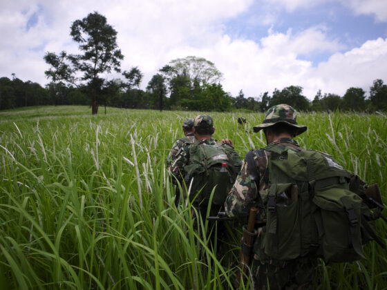 ทุ่งใหญ่นเรศวรด้านตะวันออก